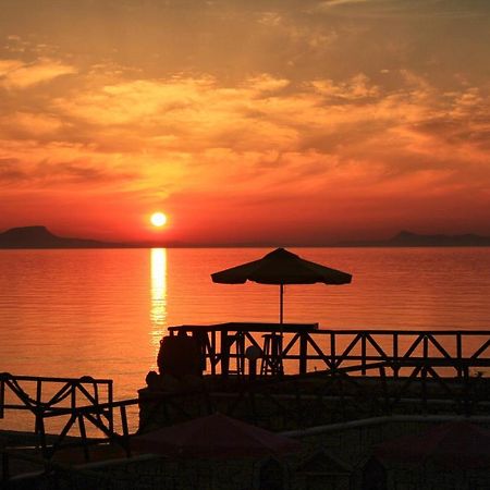 Alkionis Beach Hotel Apartments Sfáka Dış mekan fotoğraf
