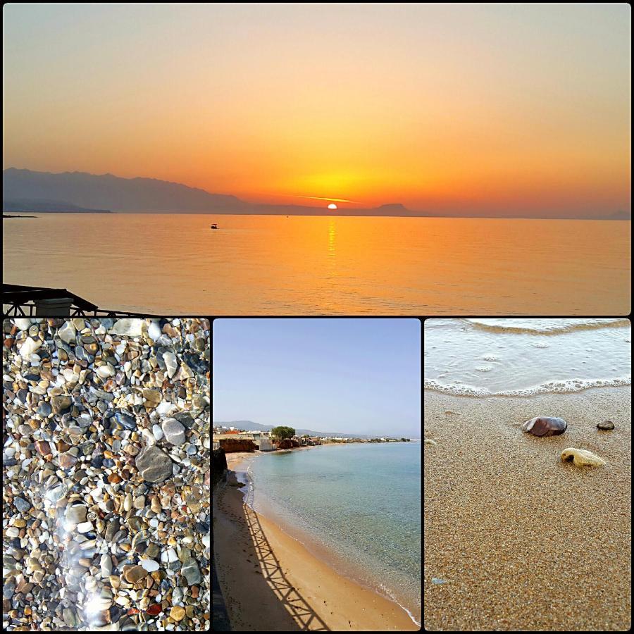 Alkionis Beach Hotel Apartments Sfáka Dış mekan fotoğraf