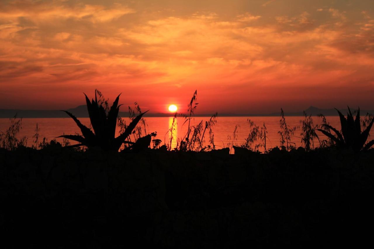 Alkionis Beach Hotel Apartments Sfáka Dış mekan fotoğraf