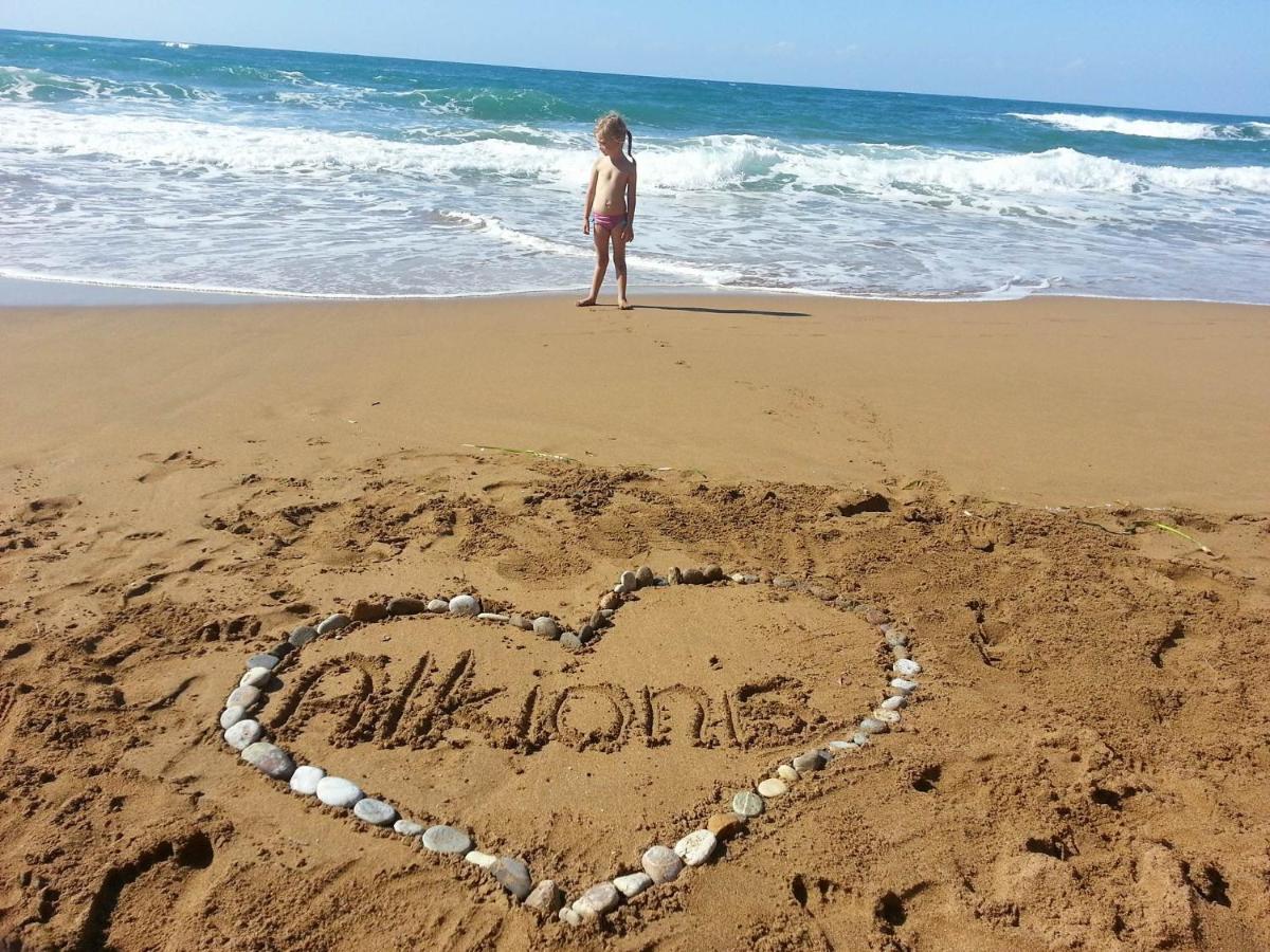 Alkionis Beach Hotel Apartments Sfáka Dış mekan fotoğraf