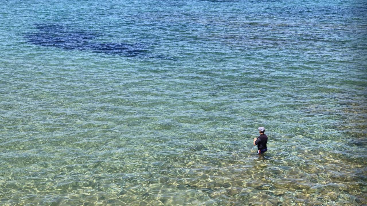 Alkionis Beach Hotel Apartments Sfáka Dış mekan fotoğraf