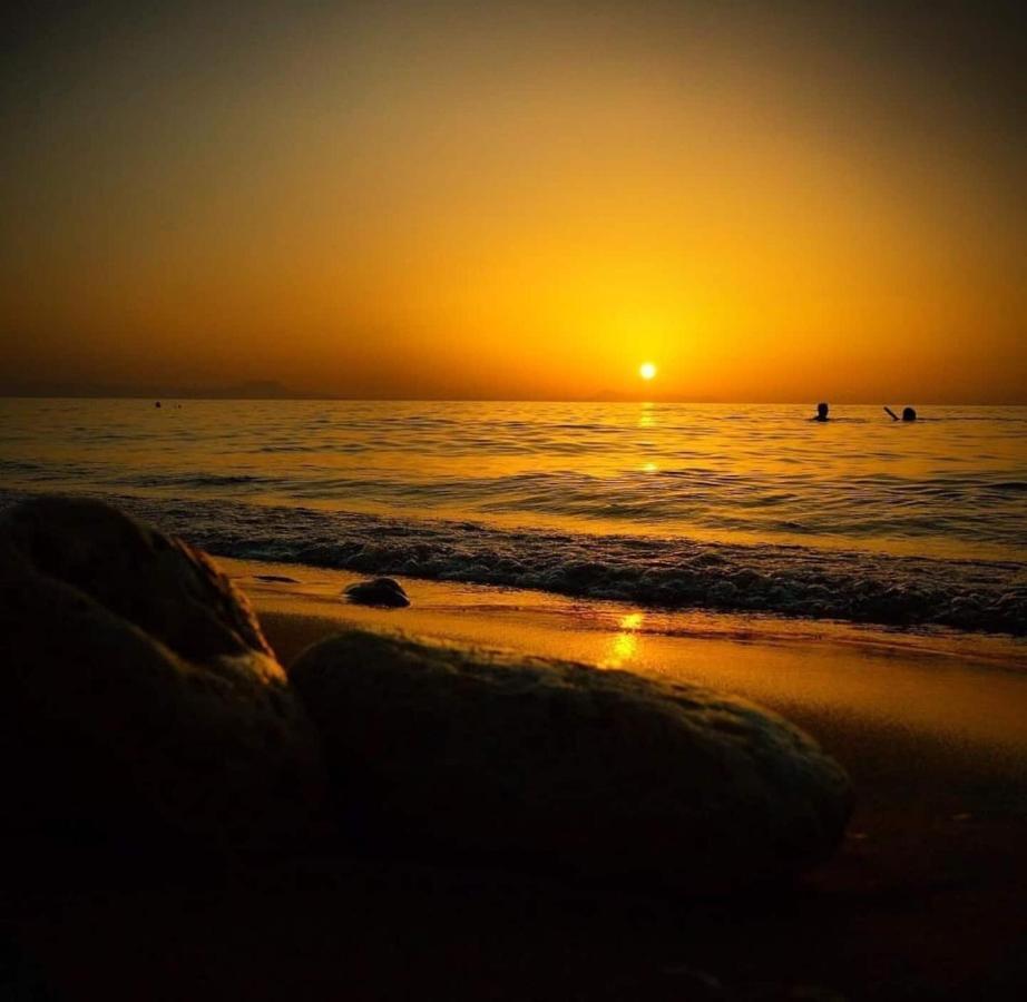 Alkionis Beach Hotel Apartments Sfáka Dış mekan fotoğraf
